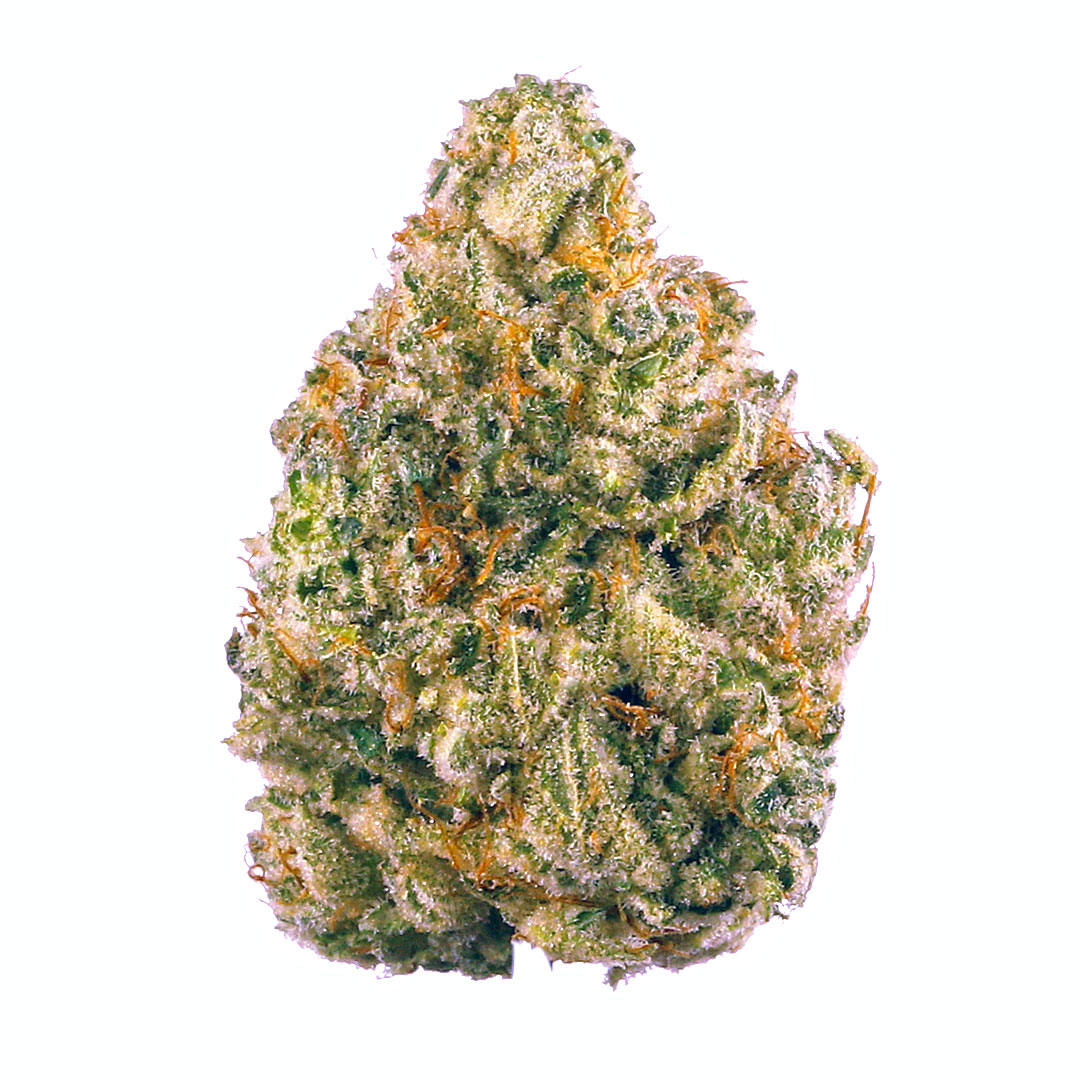 Master Kush
